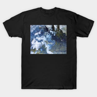 Abstract Nature Acrylic Pour Painting T-Shirt